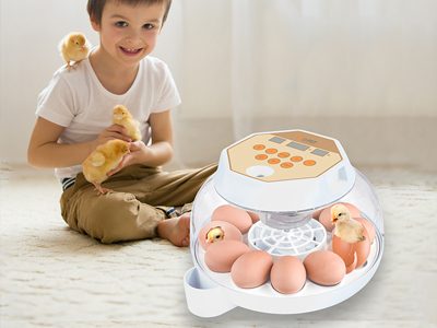Egg-Incubator
