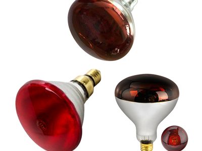 Heat-Lamp-Bulb