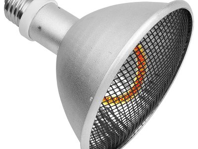 Heating Lamp Blub Product Catagory (1)