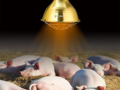Livestock (2)