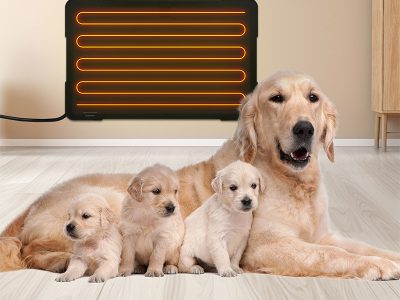 Pet (1)