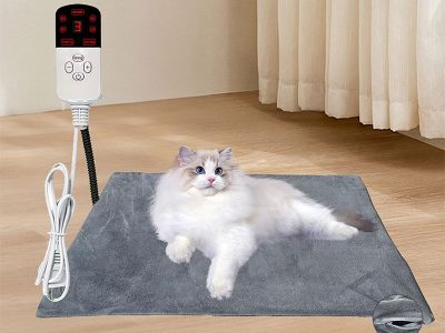 Pet (2)