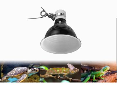 Reptiles Product Catagory (2)